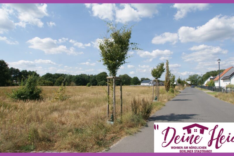 Deine Heide