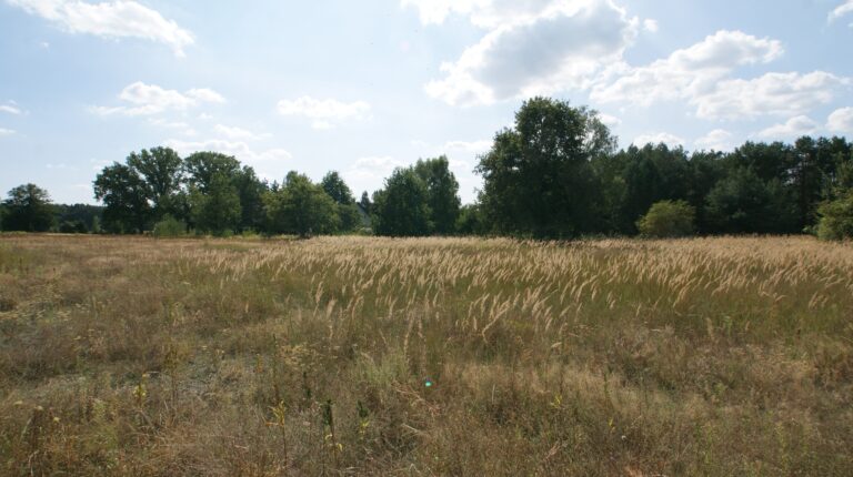 Grundstücke in Nassenheide - SATHI-Immobilien