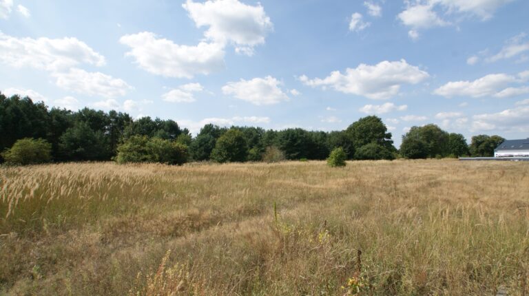 Grundstücke in Nassenheide - SATHI-Immobilien