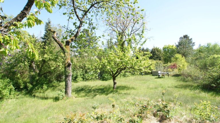 Grundstücke - SATHI-Immobilien
