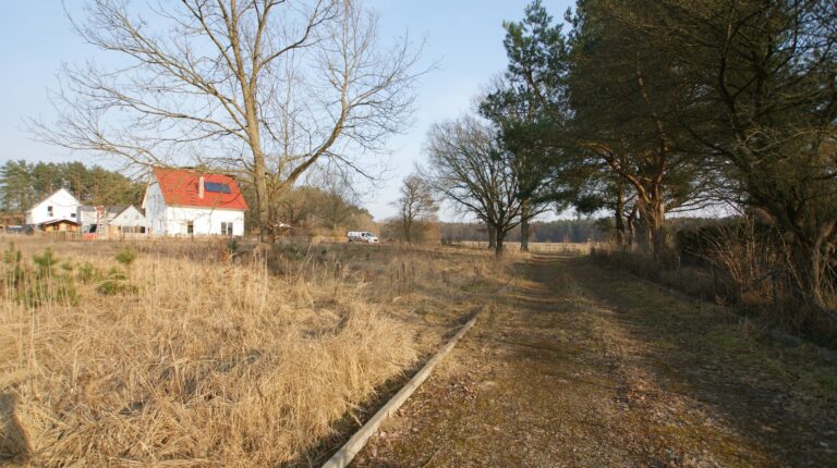 Grundstücke in Nassenheide - SATHI-Immobilien