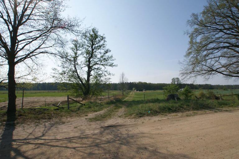 Grundstücke in Nassenheide - SATHI-Immobilien