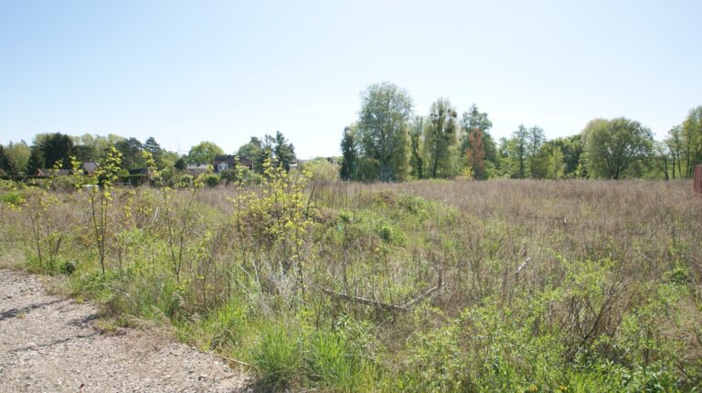 Grundstücke - SATHI-Immobilien